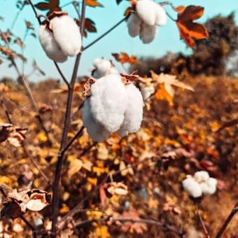 photo-1690853641294-6777c845101b