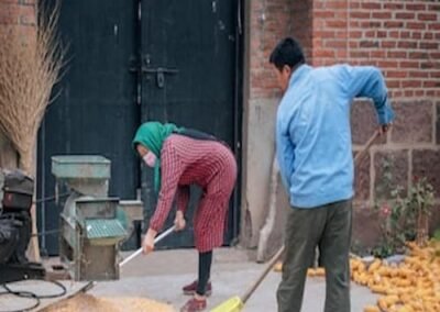 photo-1629338302110-35b7727ff9ef (1)