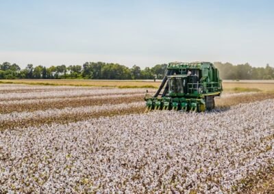 photo-1633554587766-ffc8151e31c0