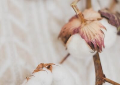 photo-1670341928695-feadb517a3e2